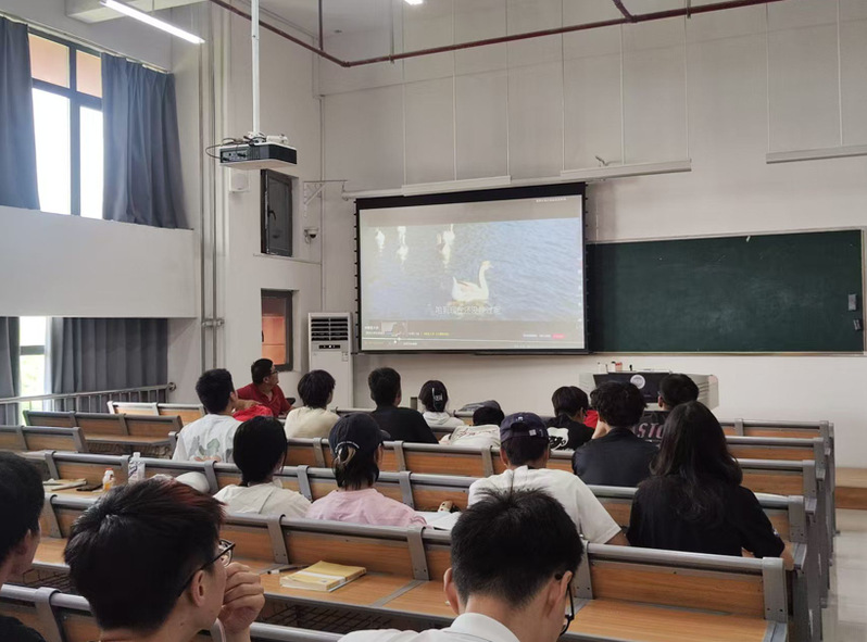 我院成功举办‘光影中的心灵之旅...